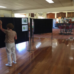 Hire Partitions for your art show